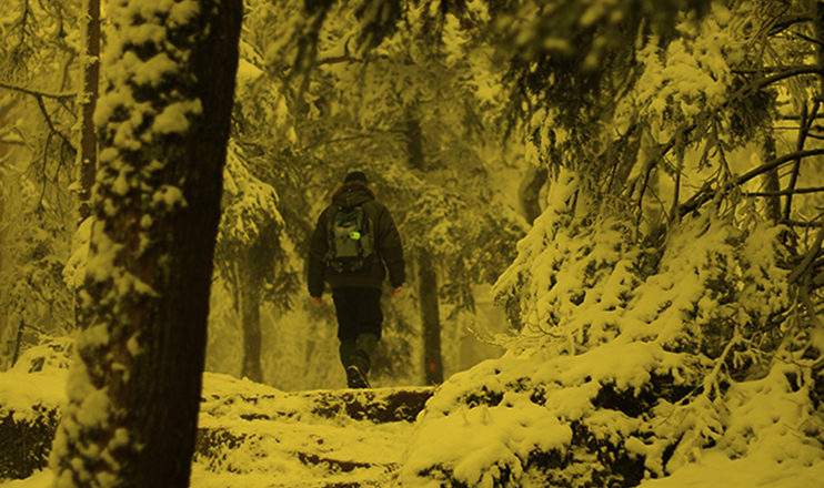 Photographie d'un homme de dos marchant dans une forêt enneigé