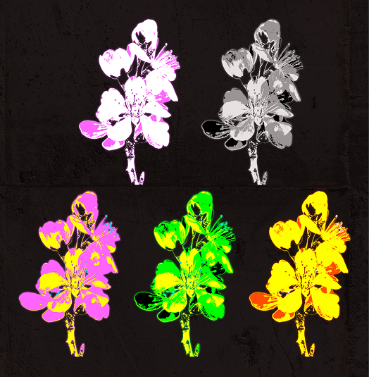 Fleurs traitées avec un effet brûlé néon jaune, orange, rose, vert et rouge