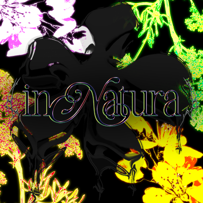 Projet In Natura, visuel d'un site internet noir et fluo avec des fleurs