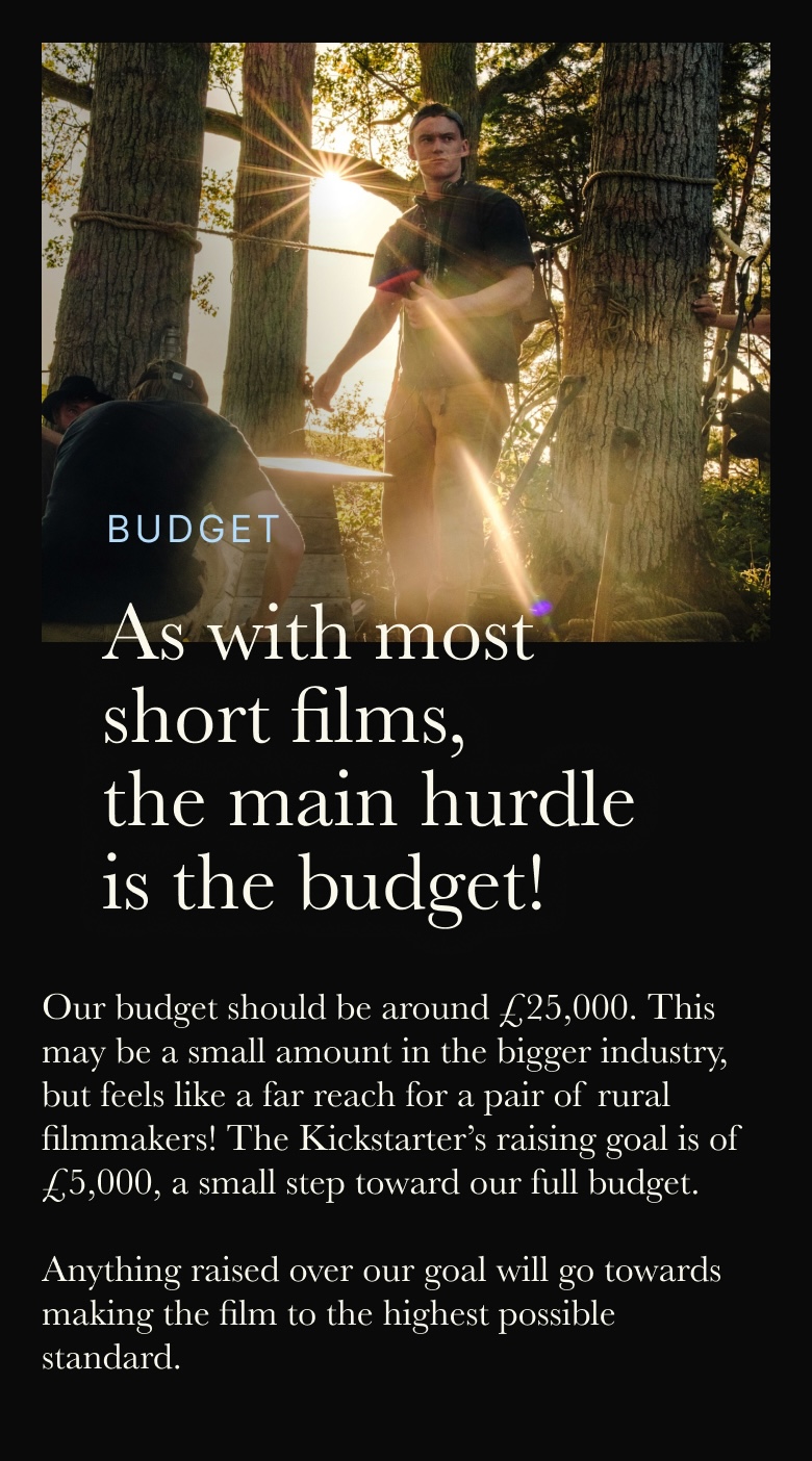 Visuel de la section budget