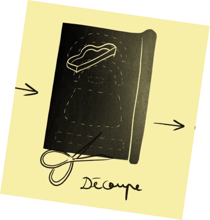 Illustration de la découpe du synderme